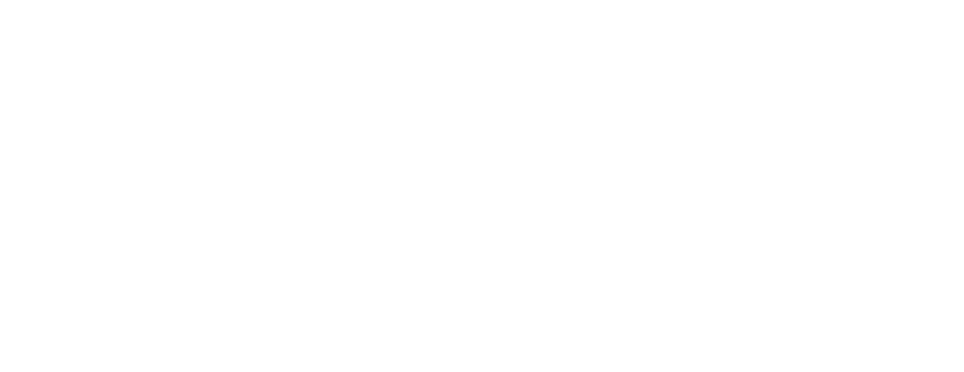DirectSMS van Provalue